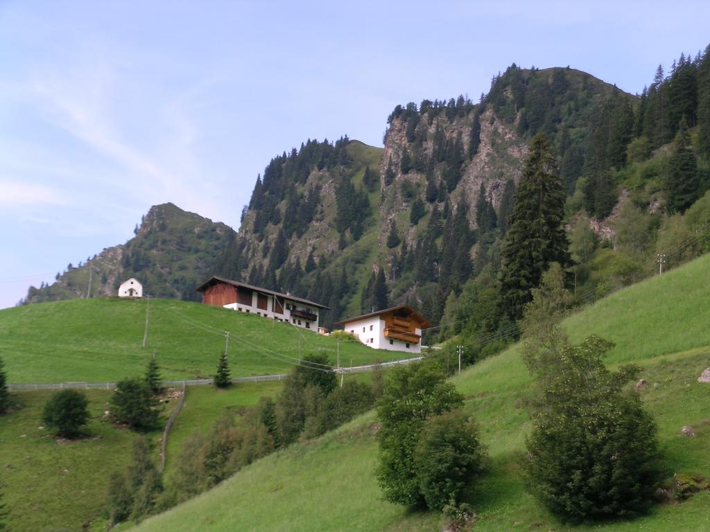 Joglerhof * Racines