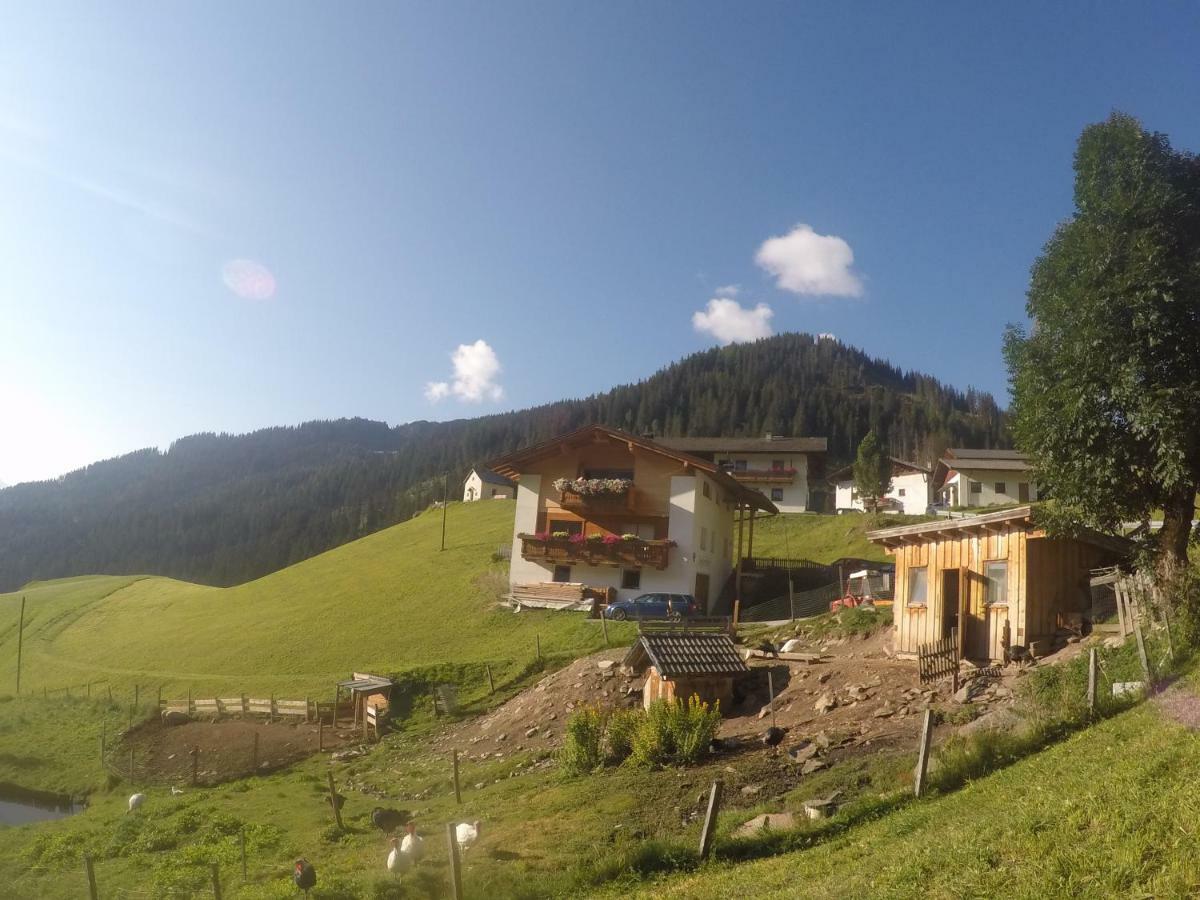 Alloggio per agriturismo Joglerhof
